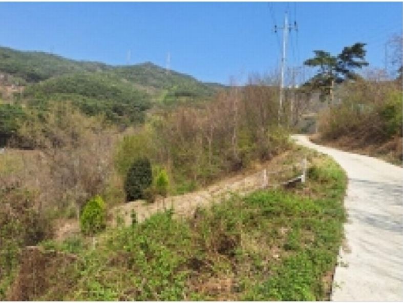 Post image 6