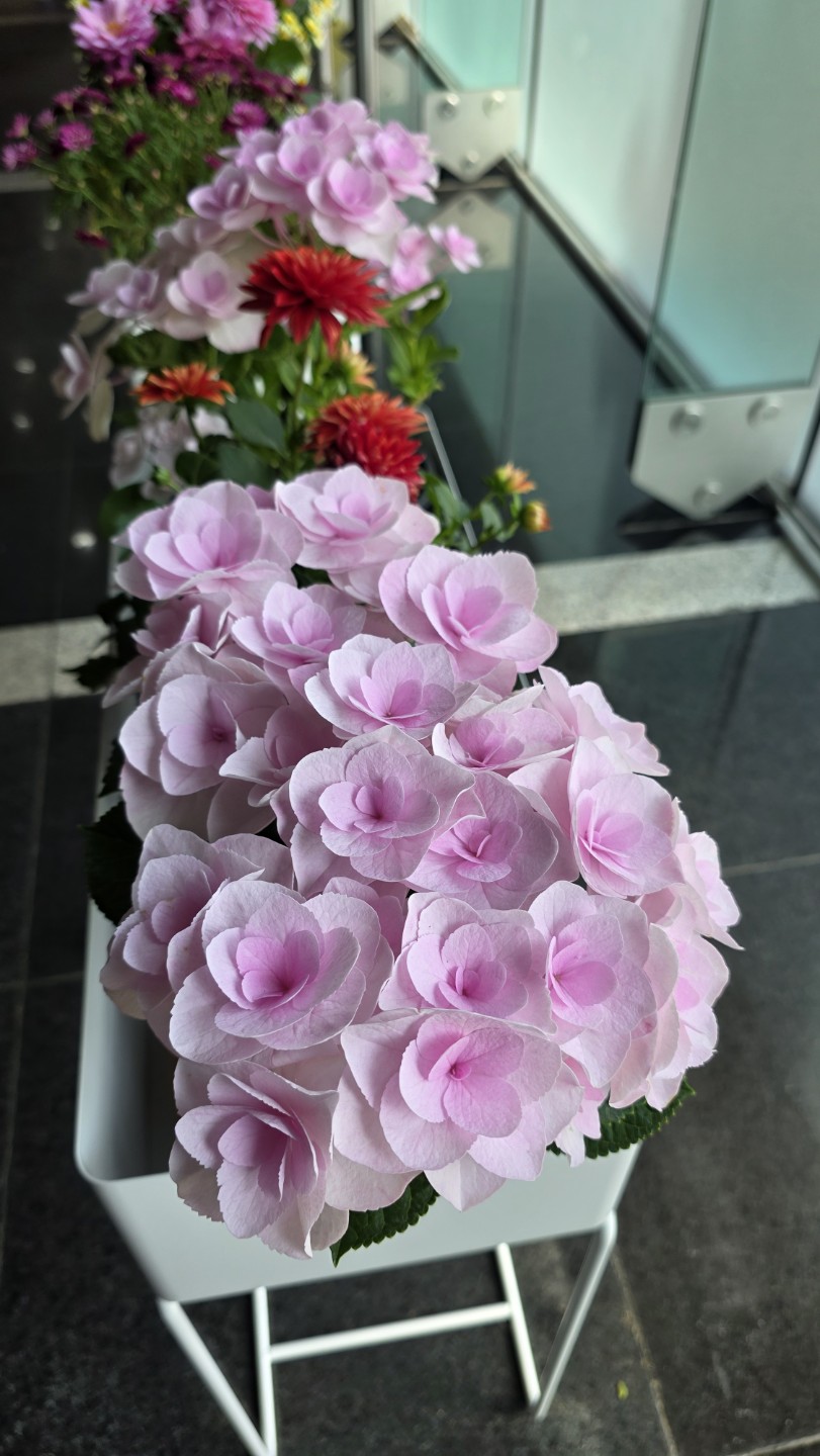 Post image 4