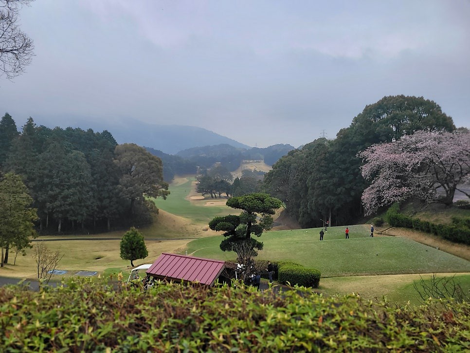 Post image 11