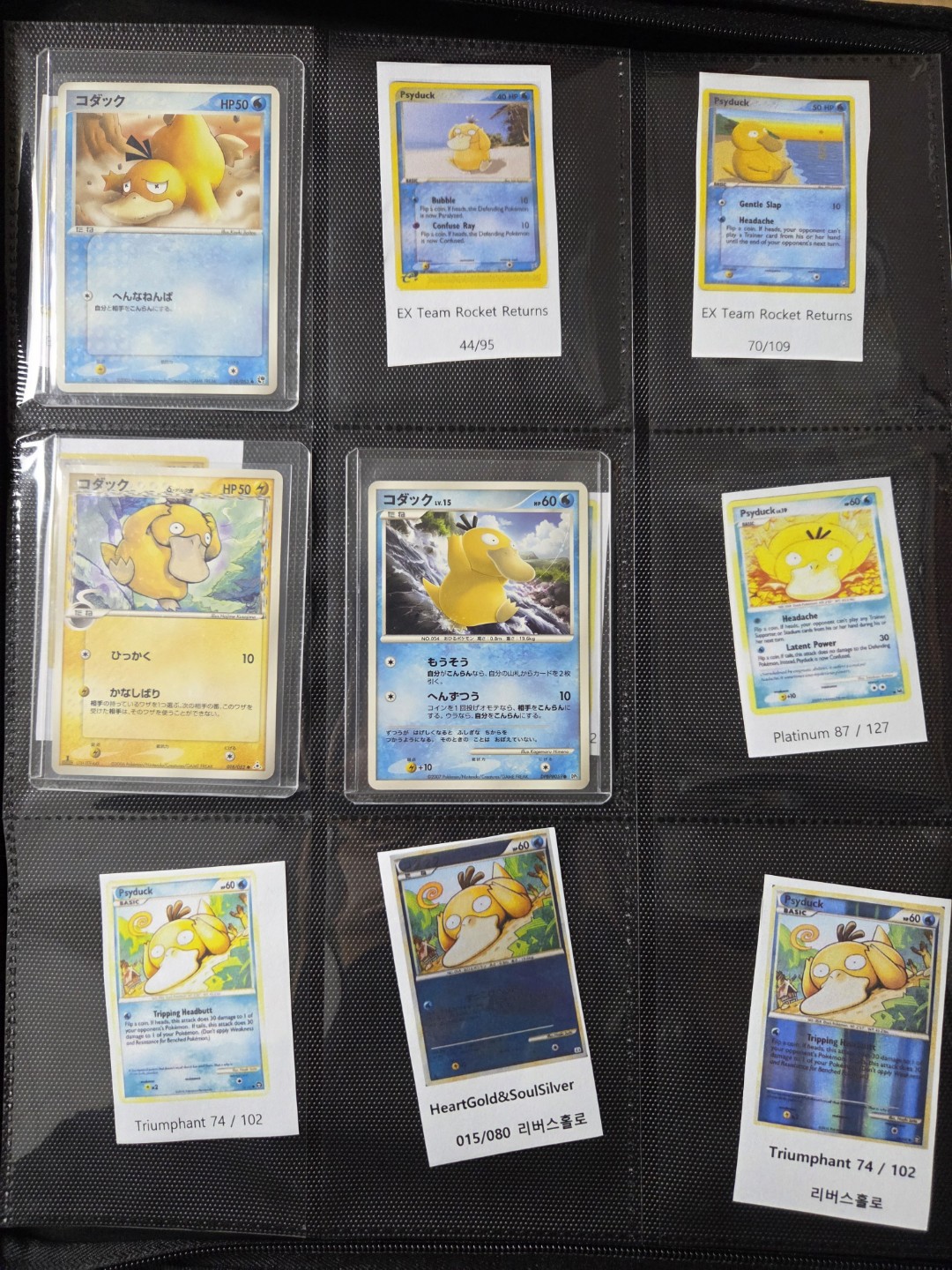 고라파덕 수집 현황