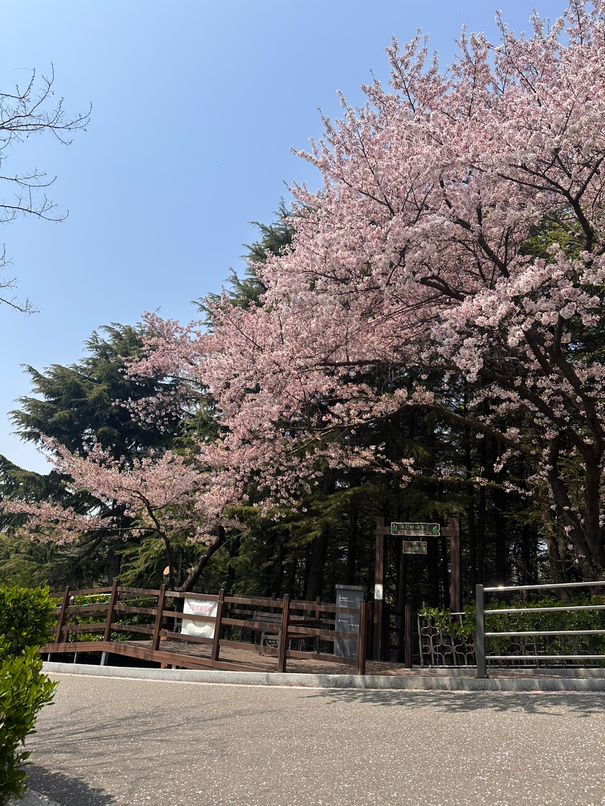 [인천_미추홀구]수봉공원