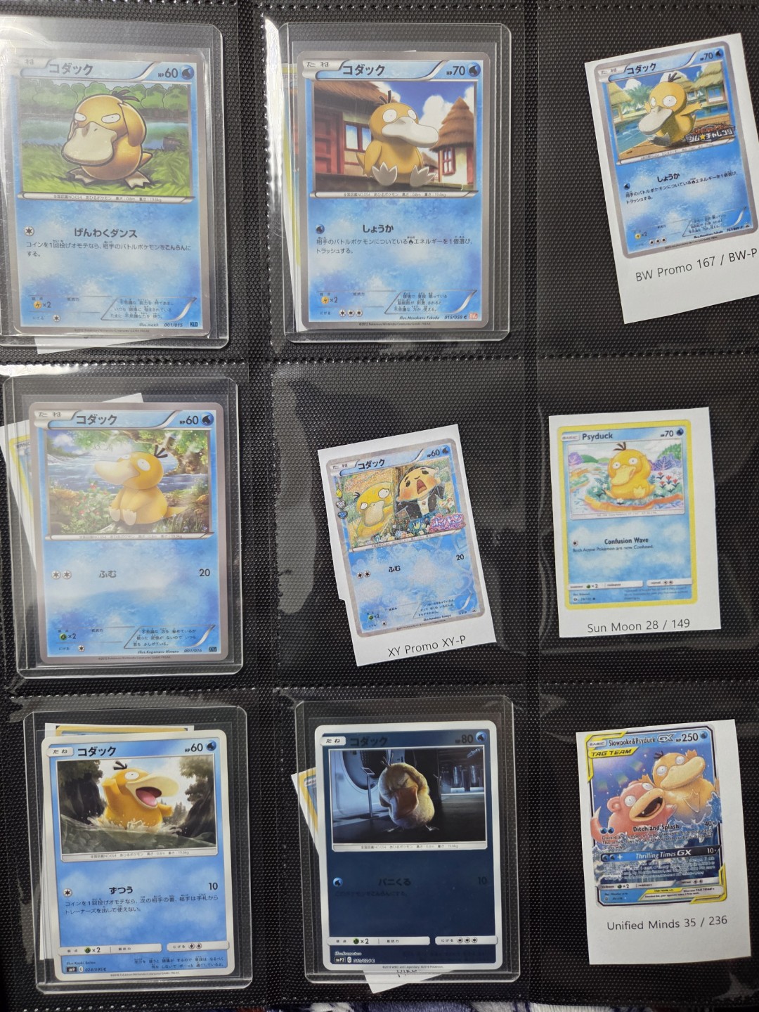 고라파덕 수집 현황