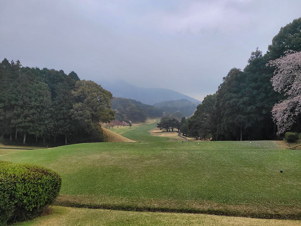 Post image 12