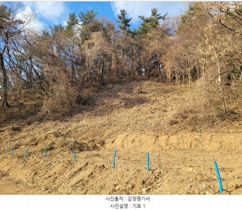Post image 6