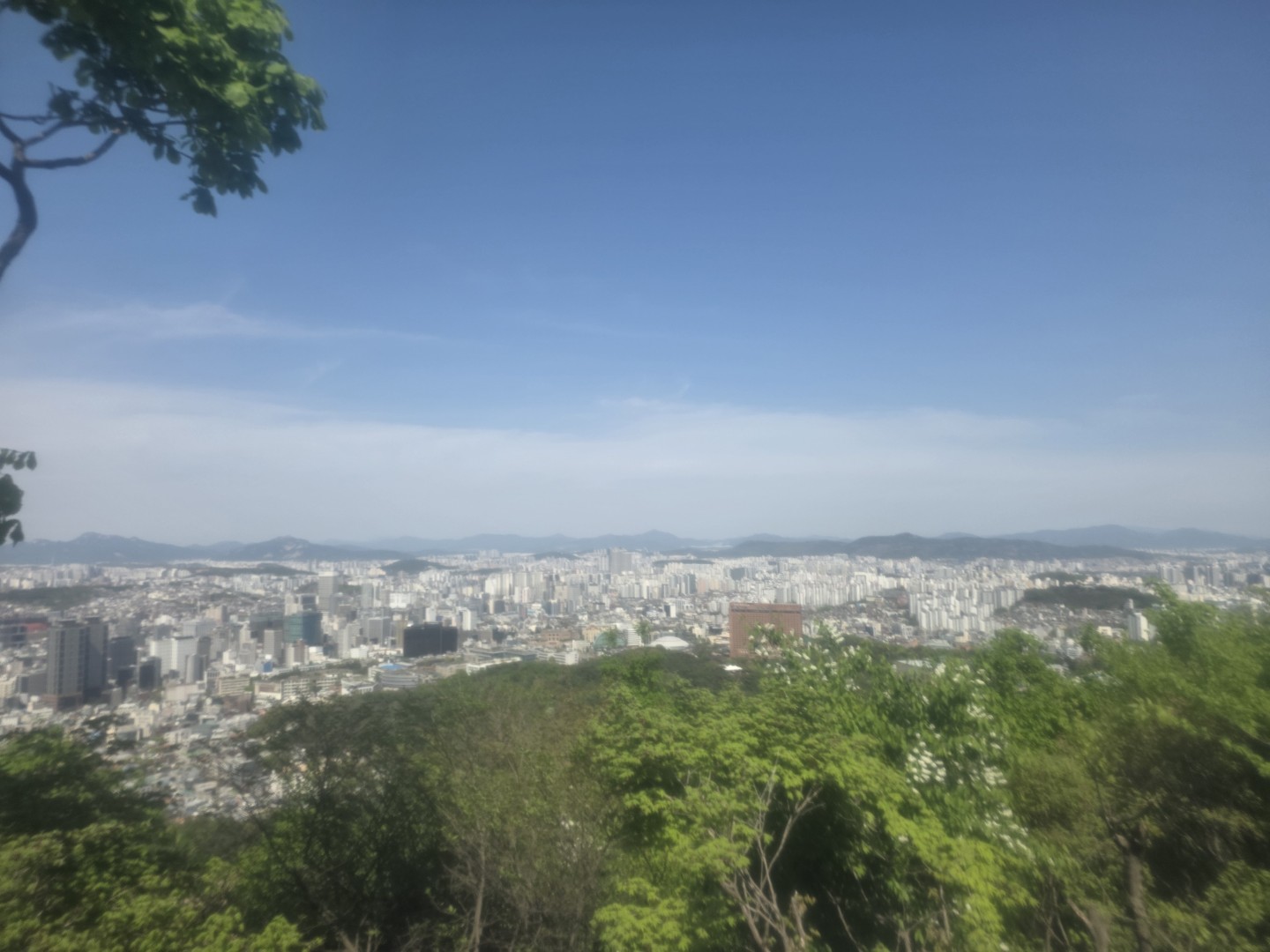 Post image 2