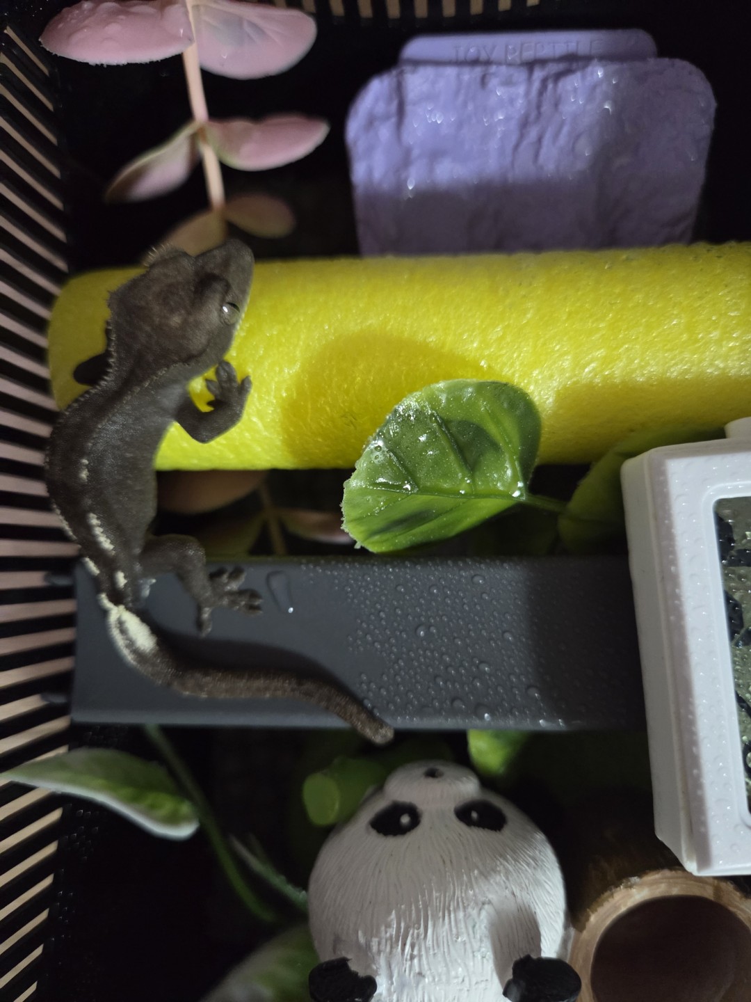 Post image 8