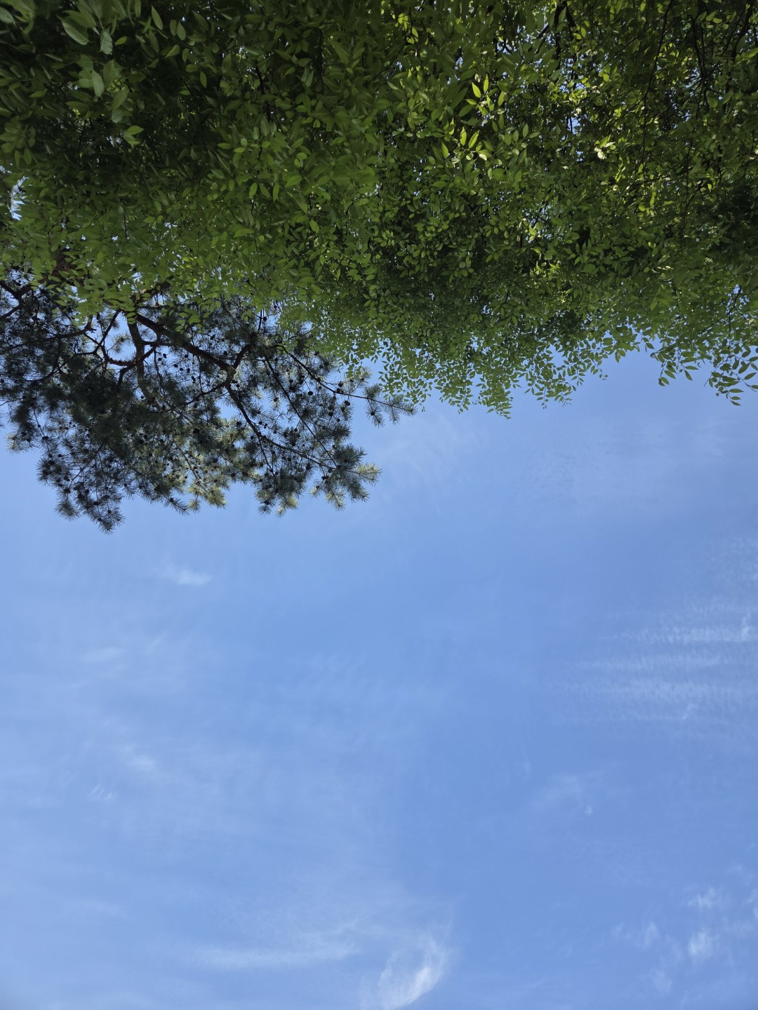 마케팅 뉴스 클릭빙(4/16)