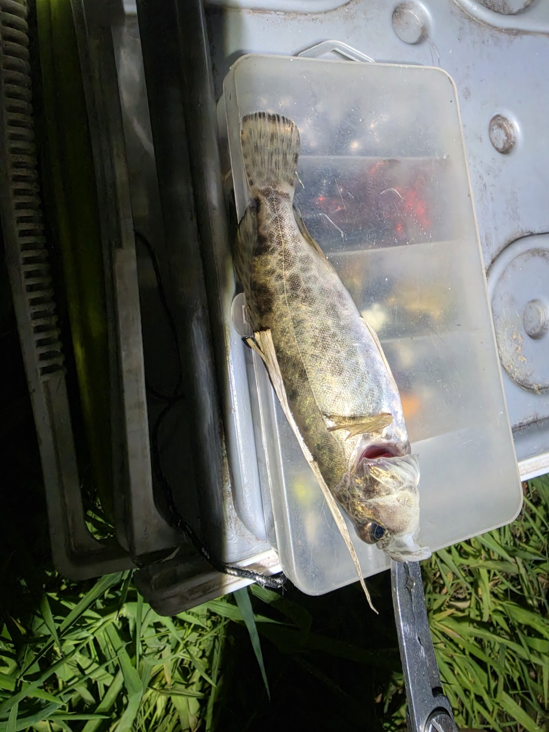 Post image 6