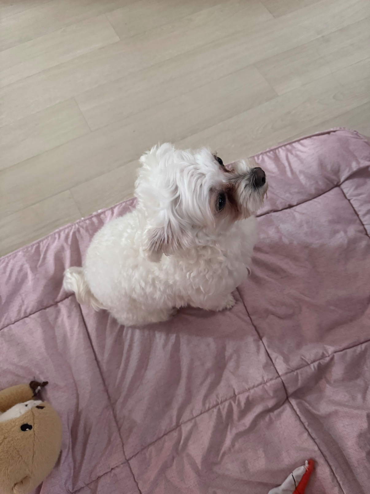 Post image 10