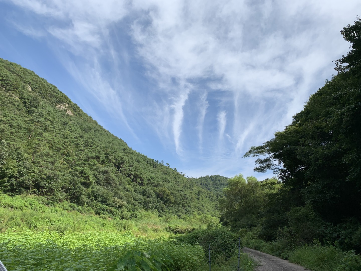 Post image 10