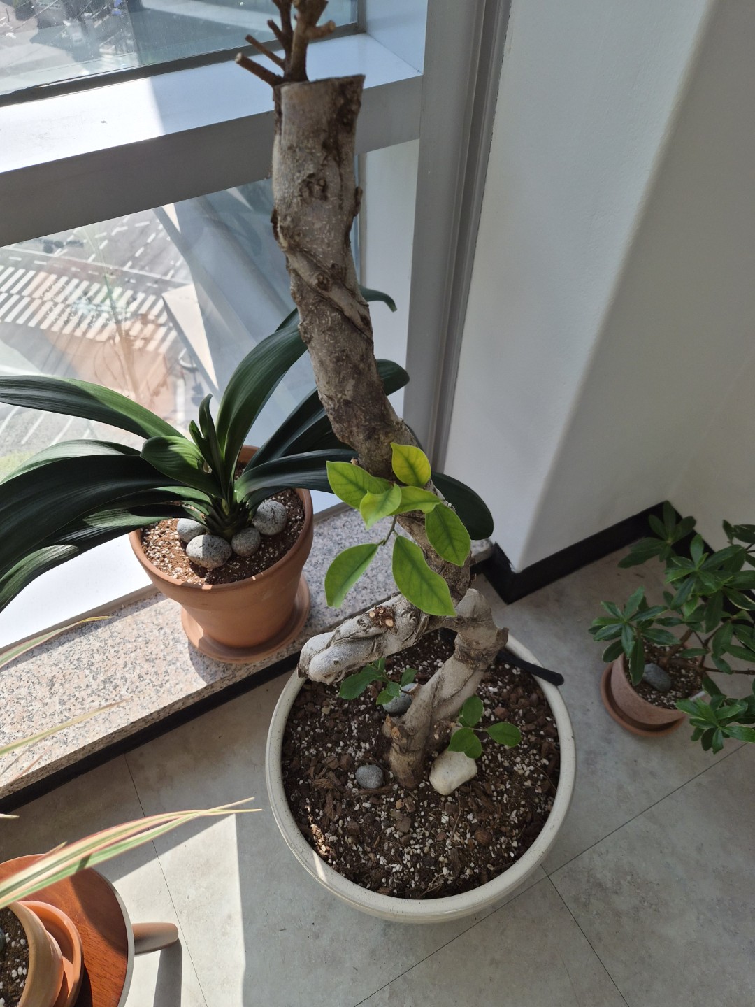 Post image 28