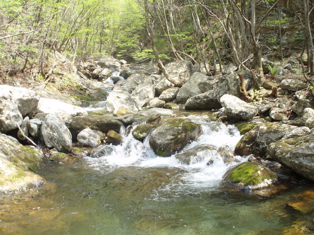제 208회(5월) 정기산행: 석룡산(1,147m)- 야생화길
