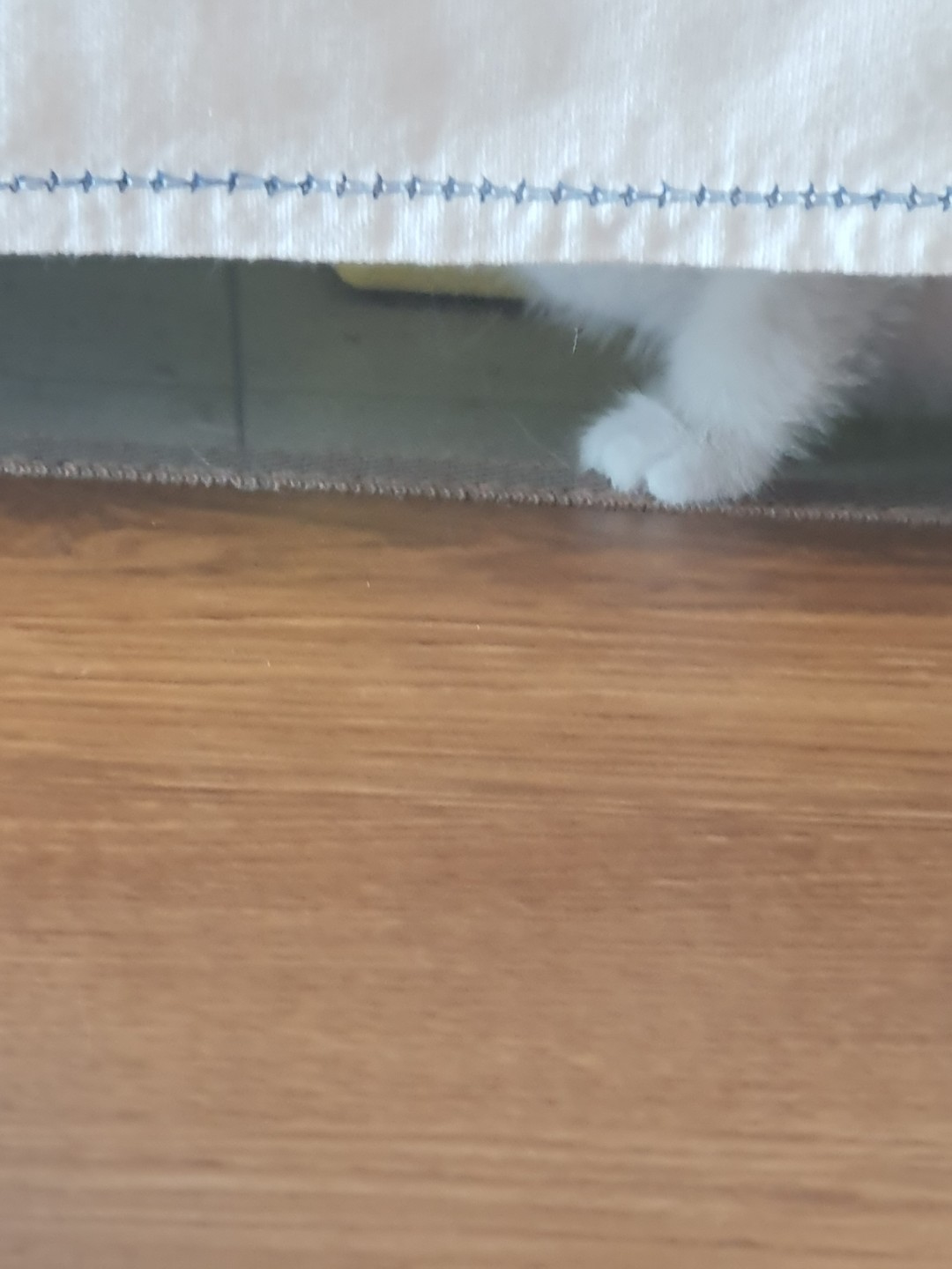Post image 6