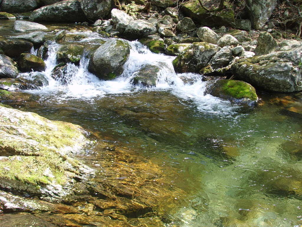 제 208회(5월) 정기산행: 석룡산(1,147m)- 야생화길