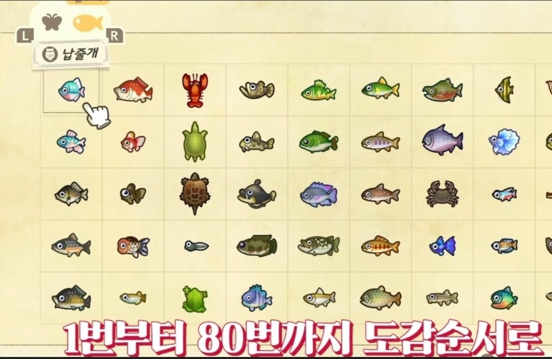 🌈 곤충,물고기, 해산물 도감