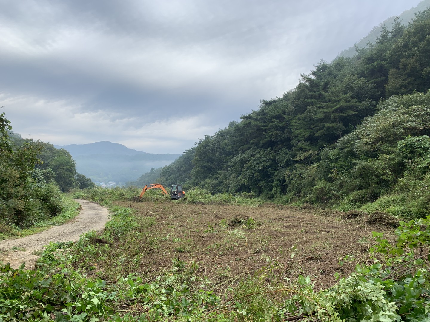 Post image 13