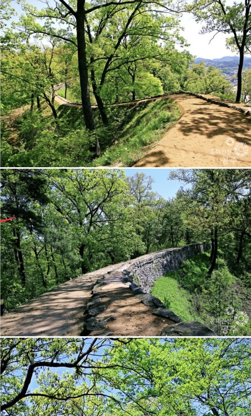 Post image 11