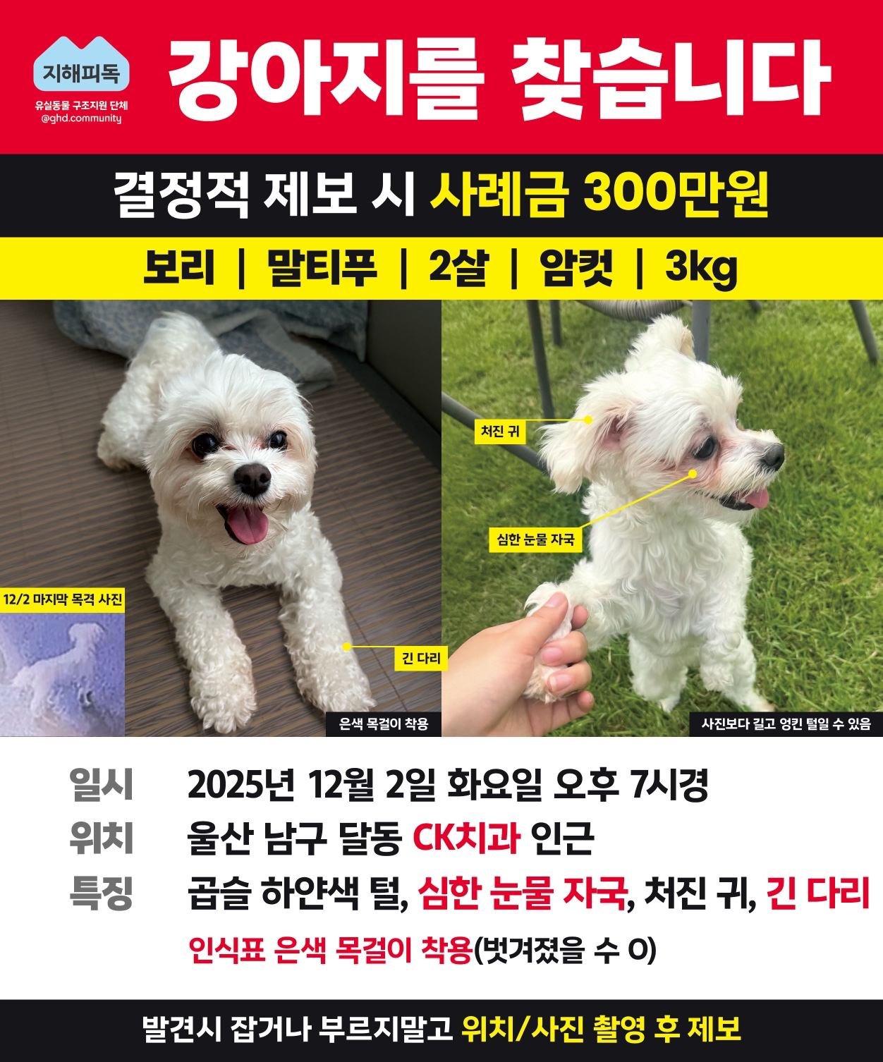 Post image 16