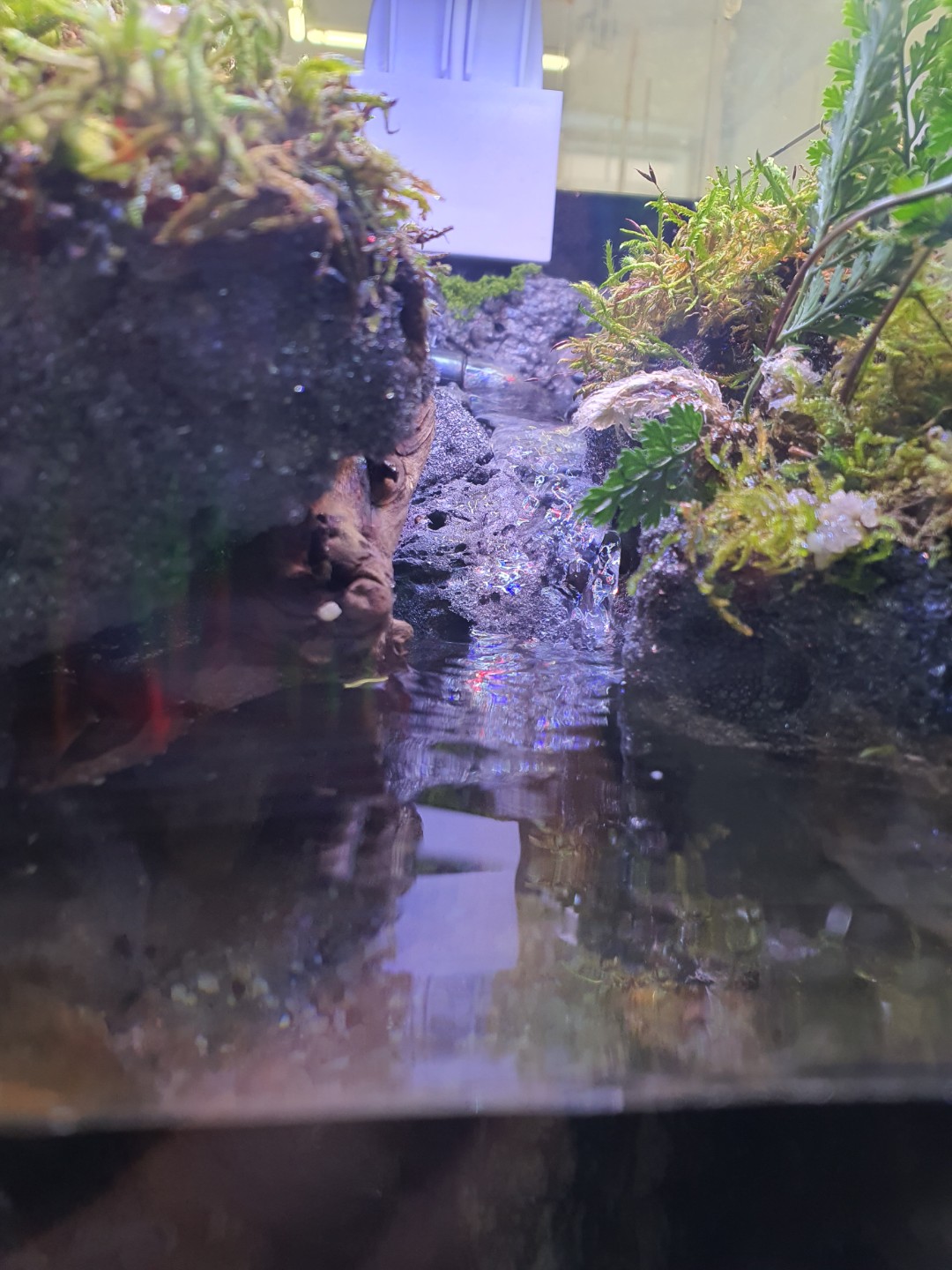 Post image 7