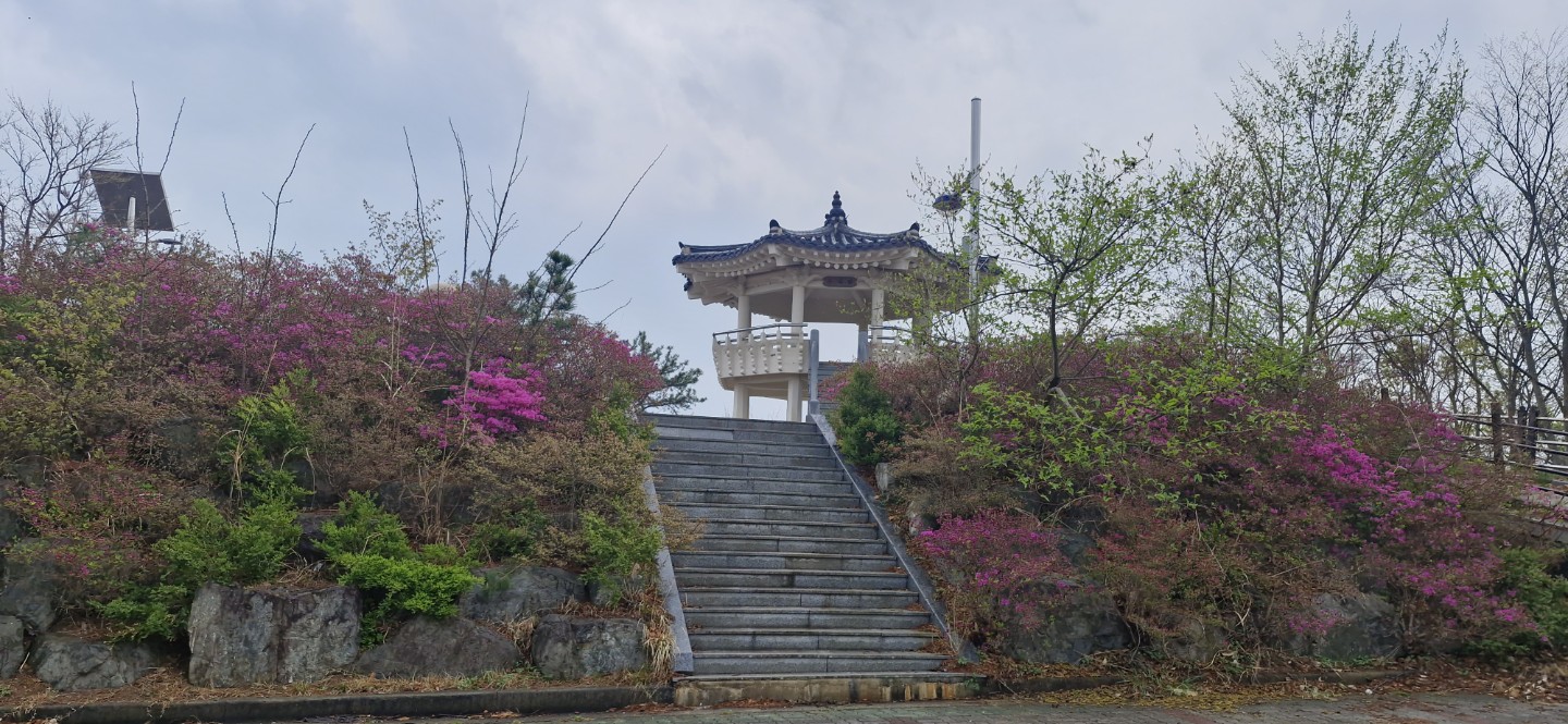 여러가지 산약초 키우고 싶습니다