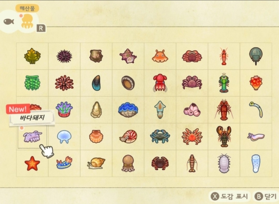 🌈 곤충,물고기, 해산물 도감