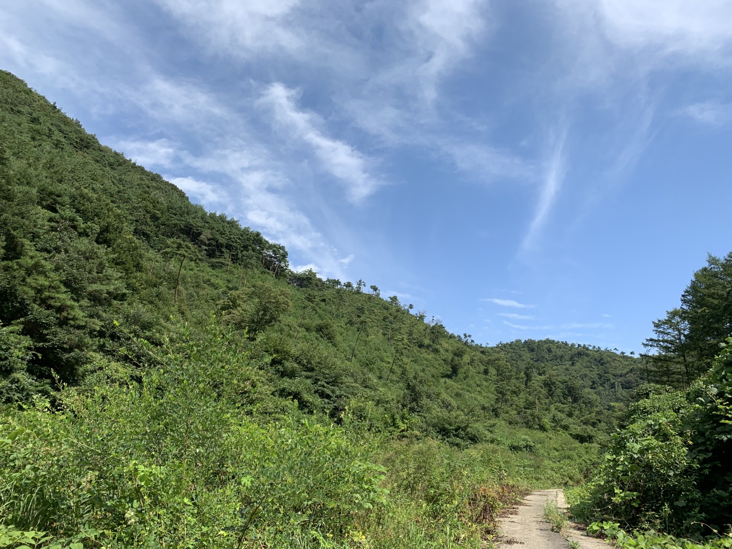 Post image 11