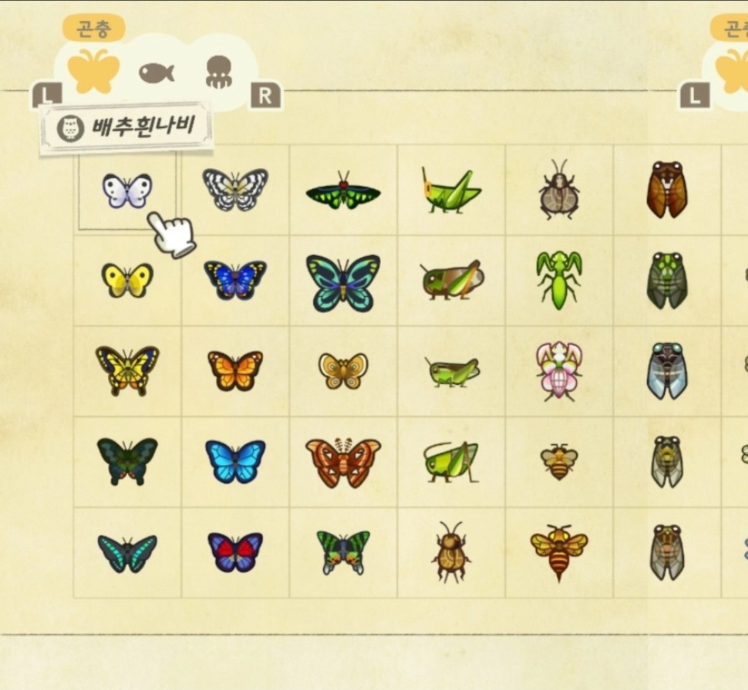 🌈 곤충,물고기, 해산물 도감