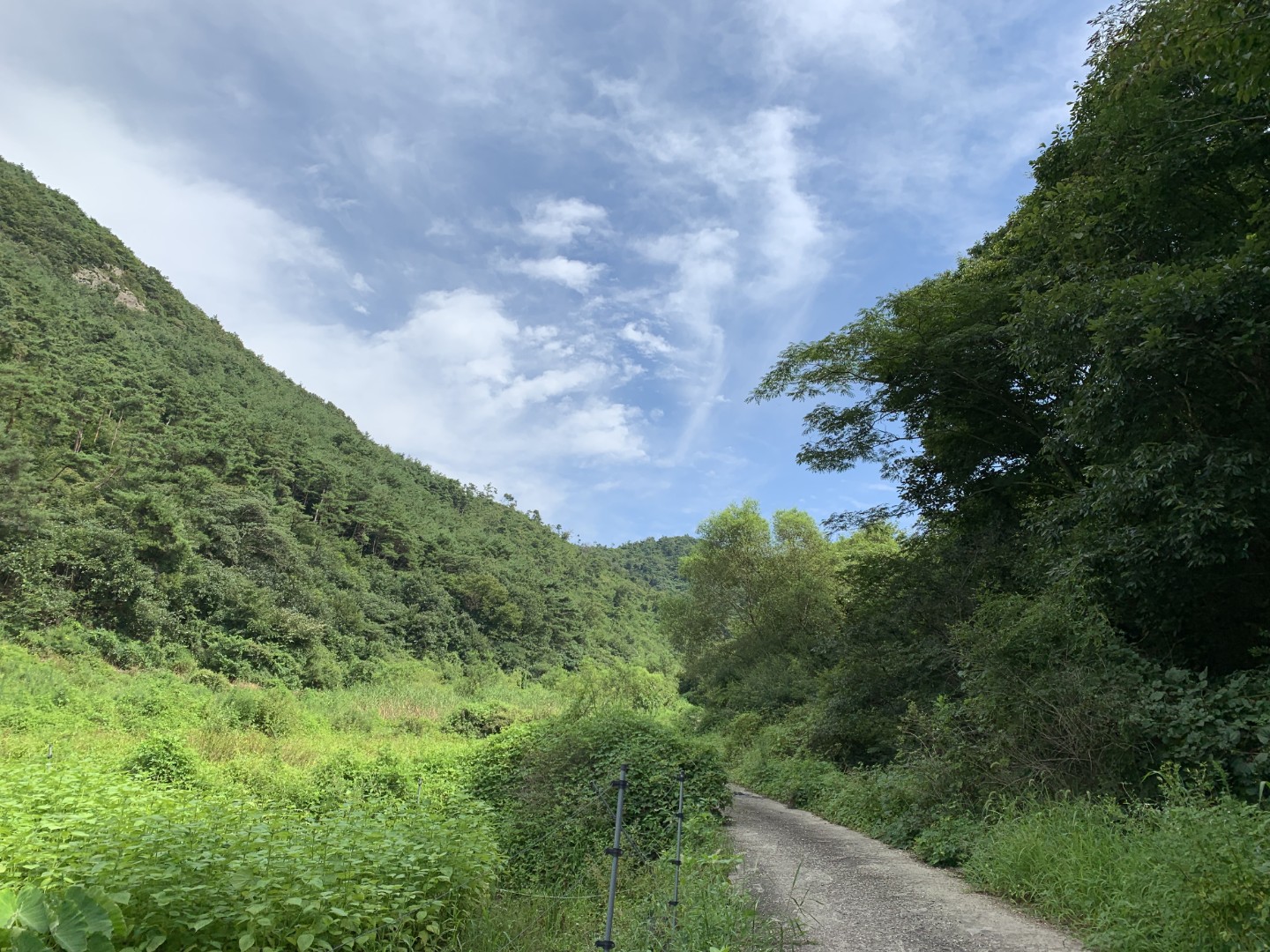 Post image 12
