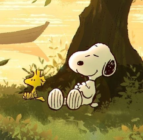 쉽게 따라할 수 있는 작은 건강 습관들