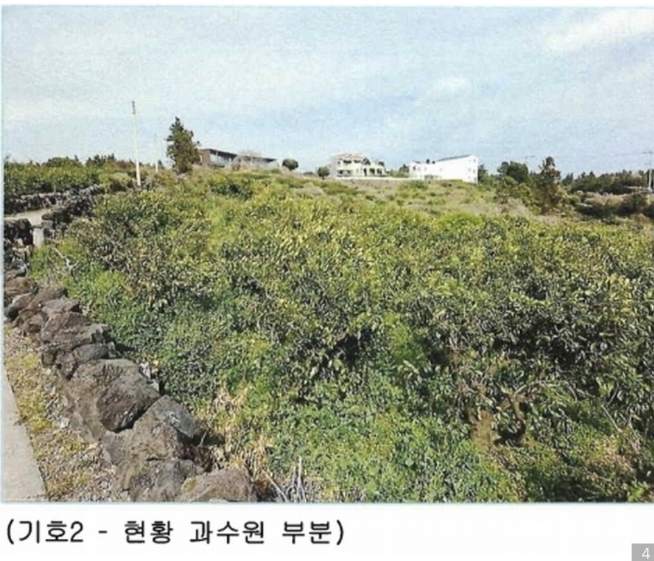 Post image 7