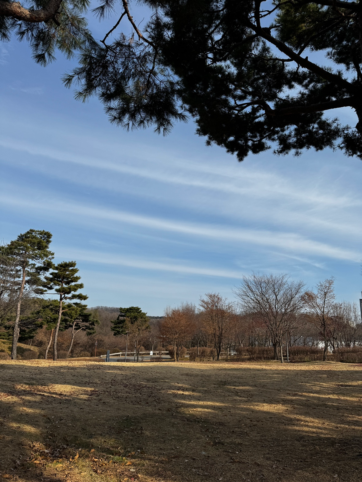 챌린지:혼자 해외여행하기