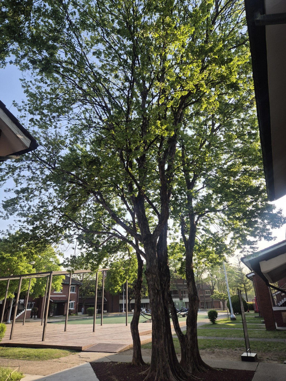 봄날을 즐기기 @ 동부이촌동