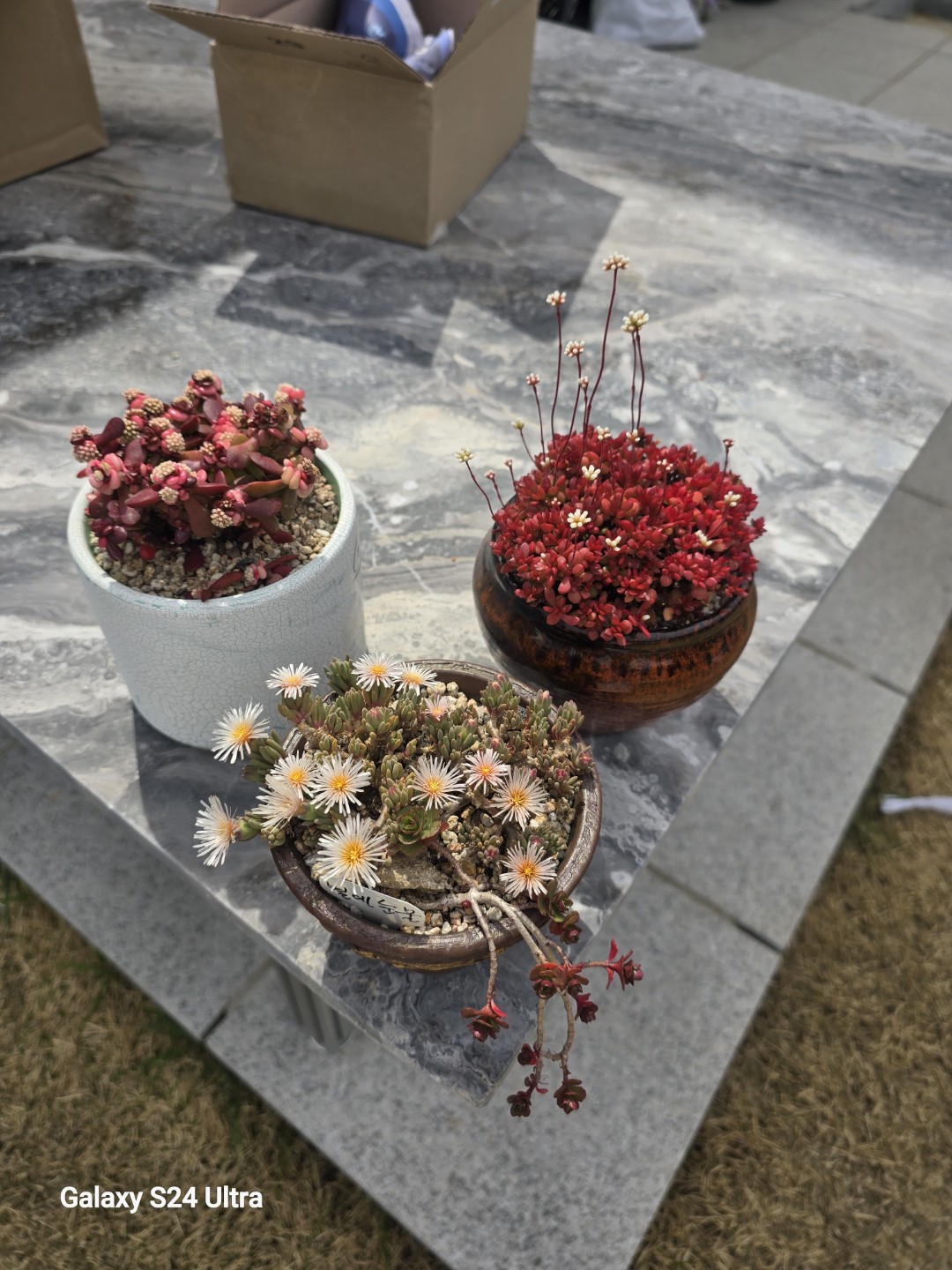Post image 4