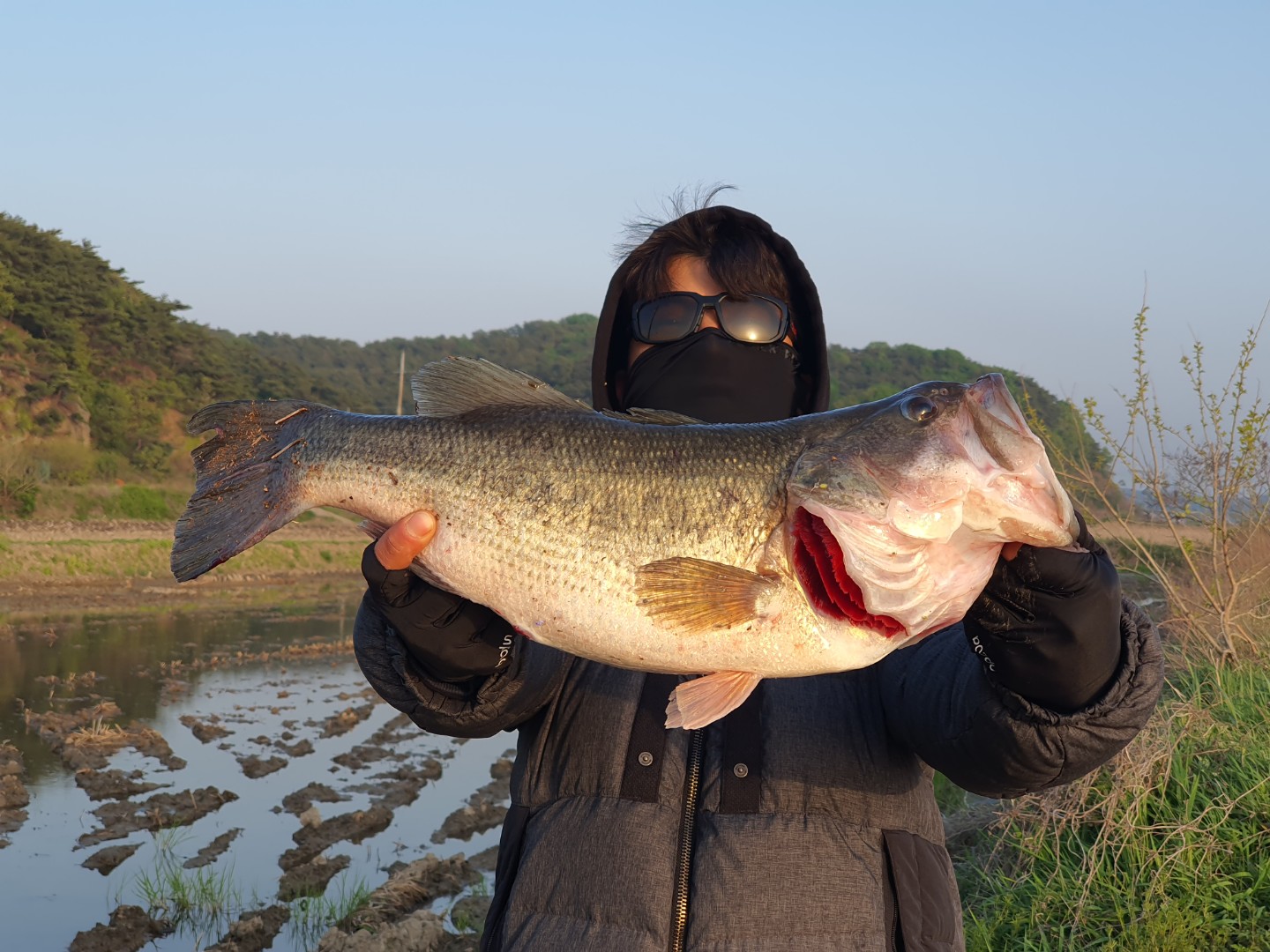 안산 일동 배서입니다
