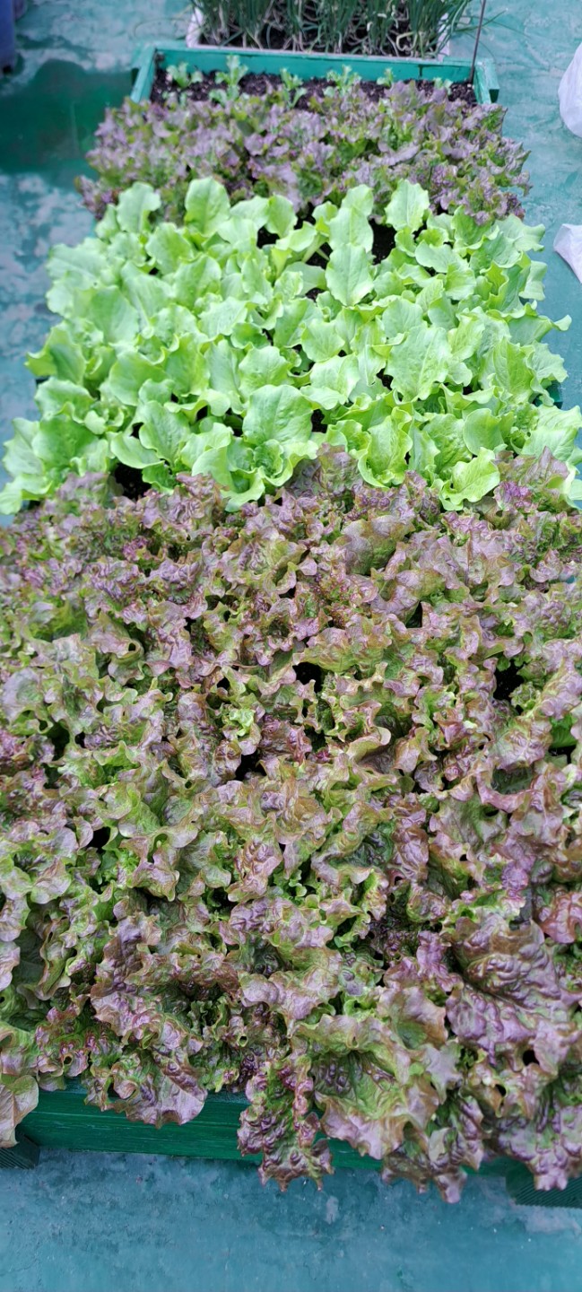 Post image 7
