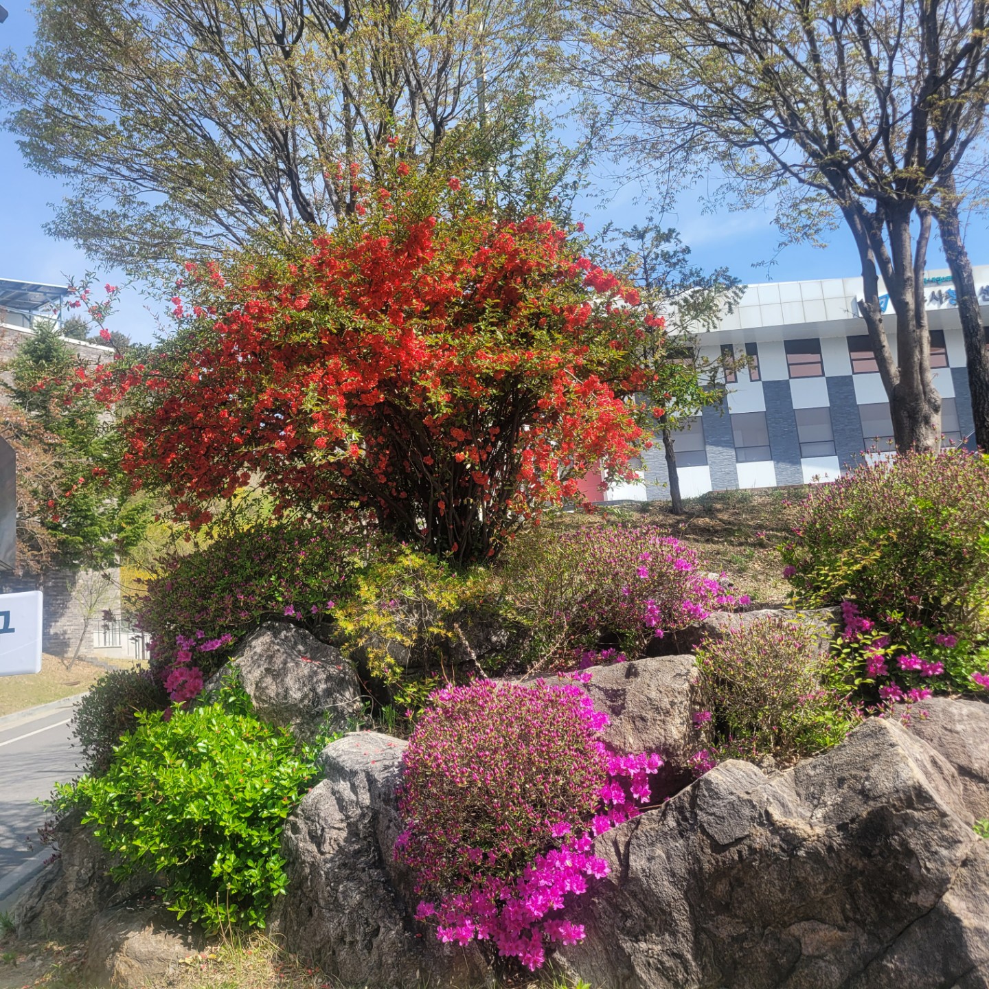 봄폼 여기도 저기도 봄.