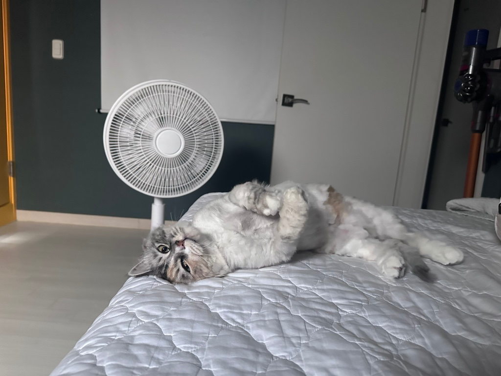 Post image 5