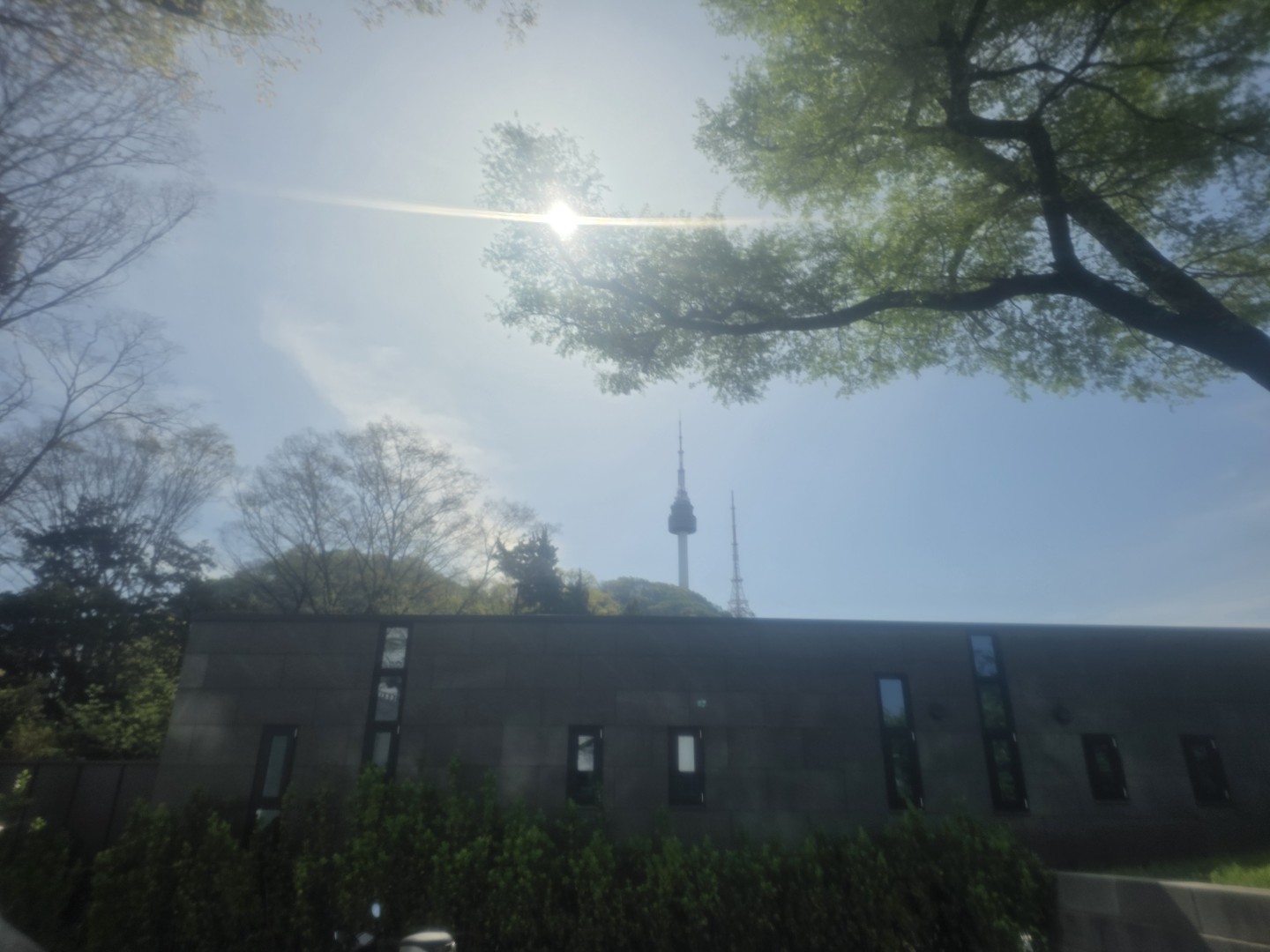 Post image 2