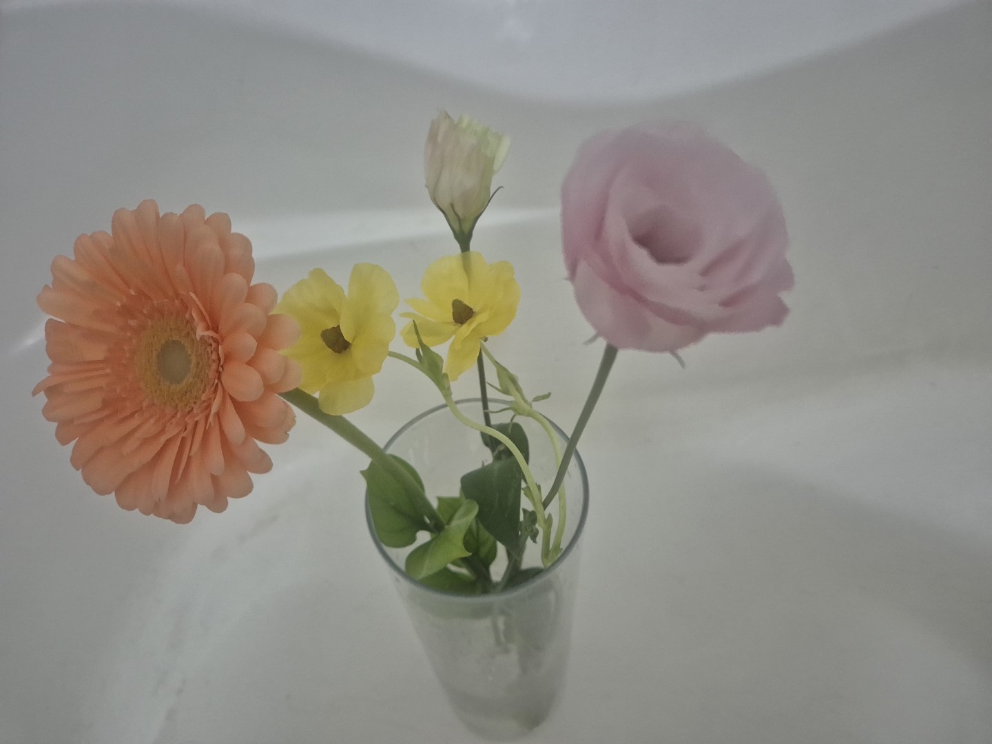 꽃을 사면 좋은 점.1주일은 거뜬히...