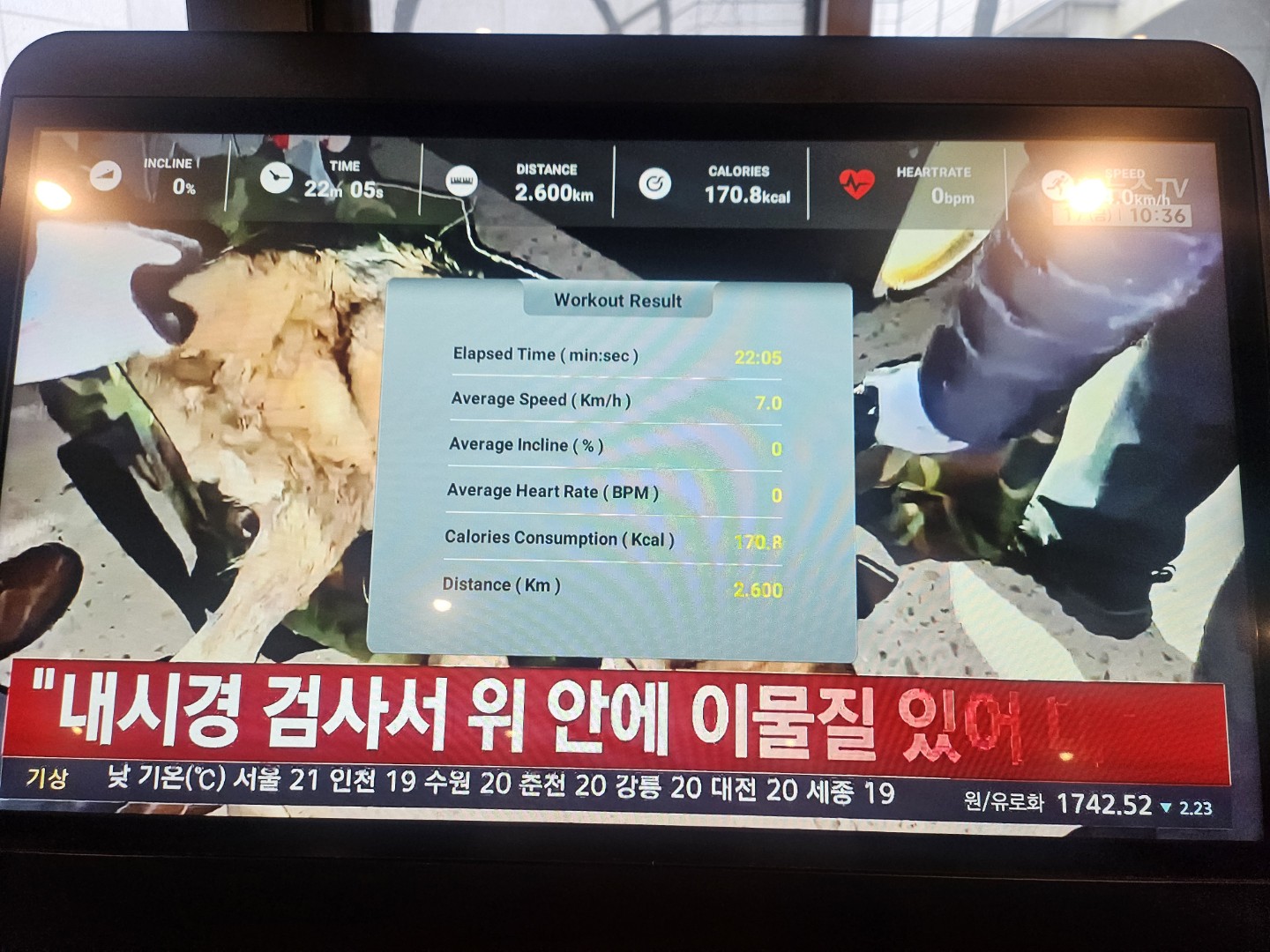 오운완! 늑구가 잡혔군요
