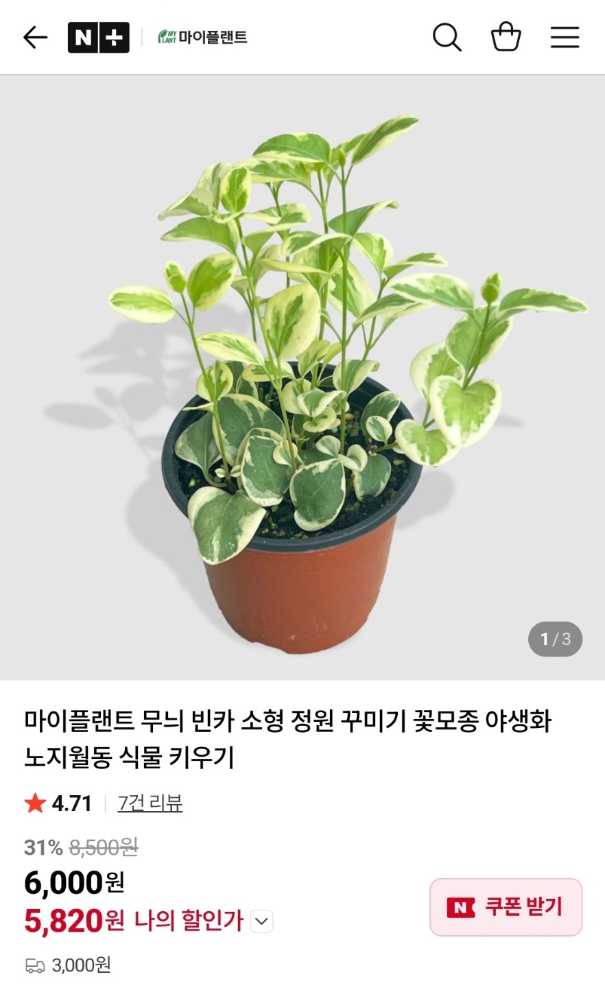 Post image 15