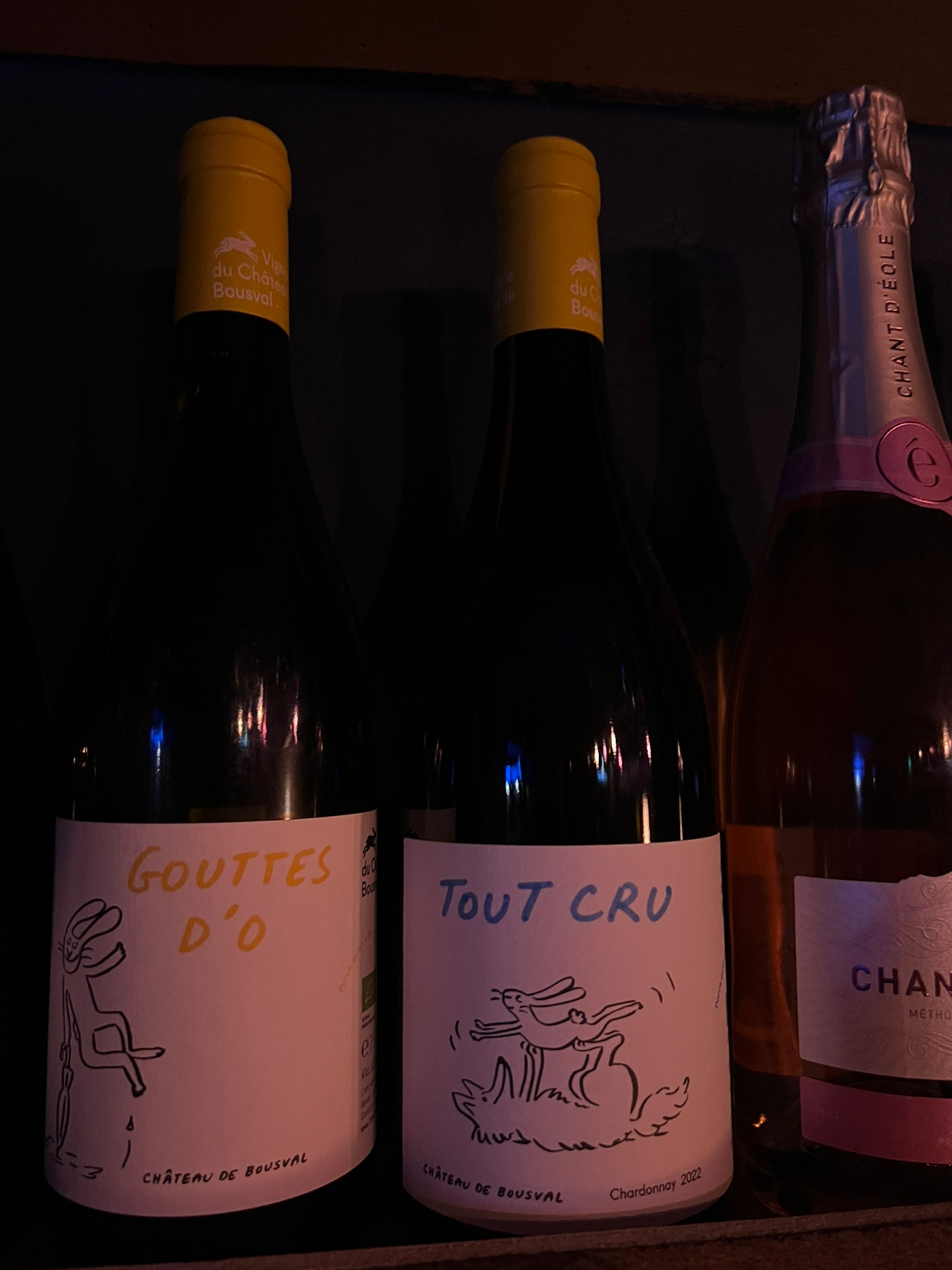 카페회원 수 100명 모이면 프랑스,벨기에 와인 무료시음회 한번 할게요