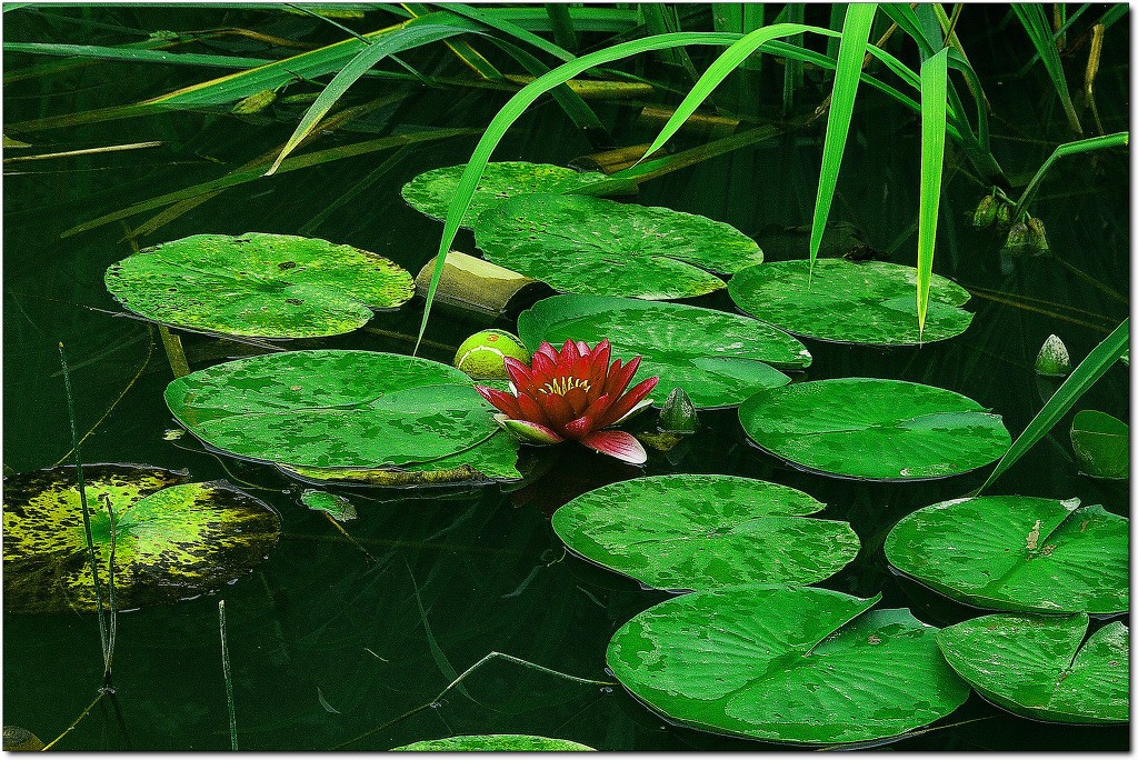 Post image 11