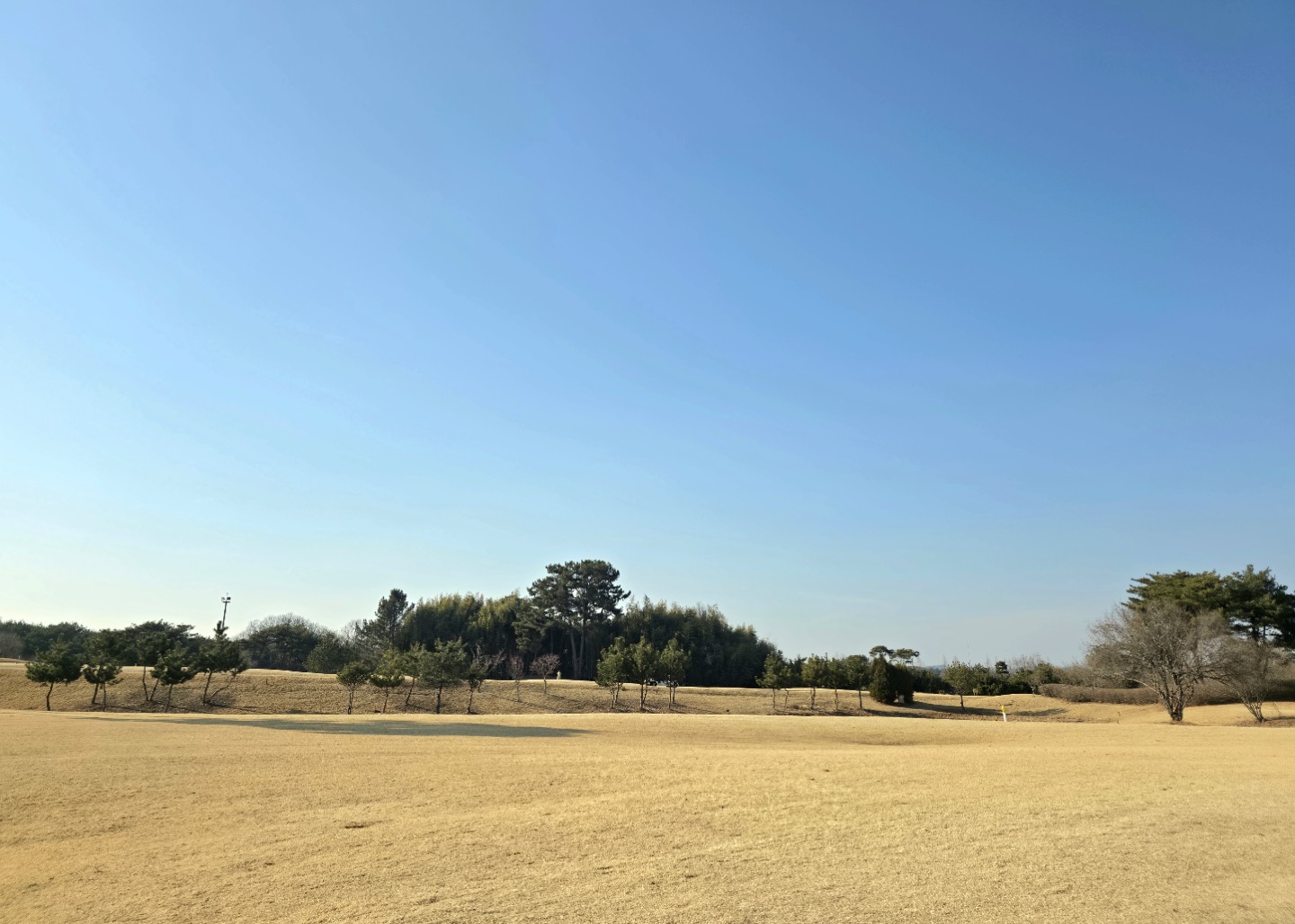 월욜 서산 노캐디