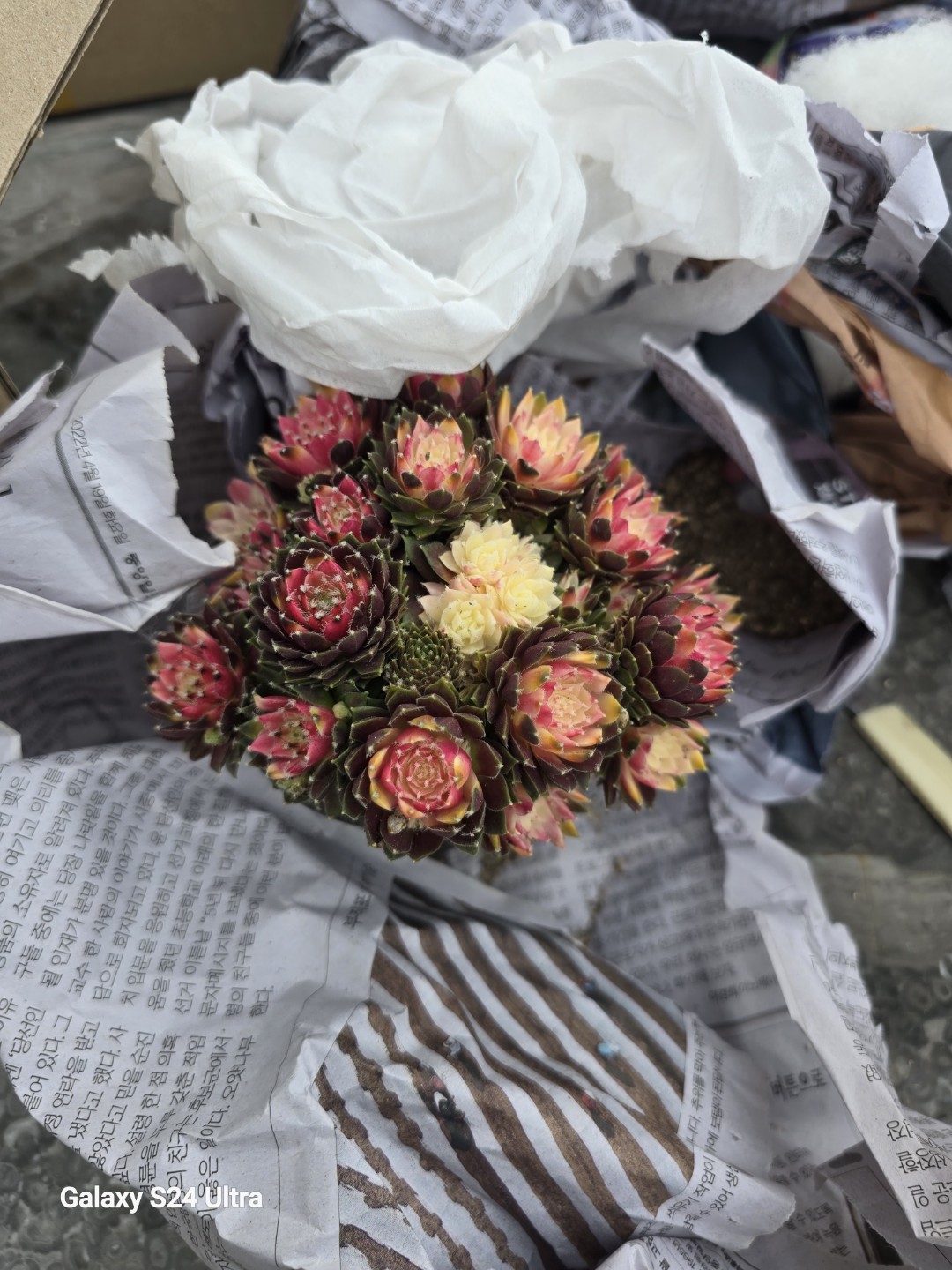 Post image 6