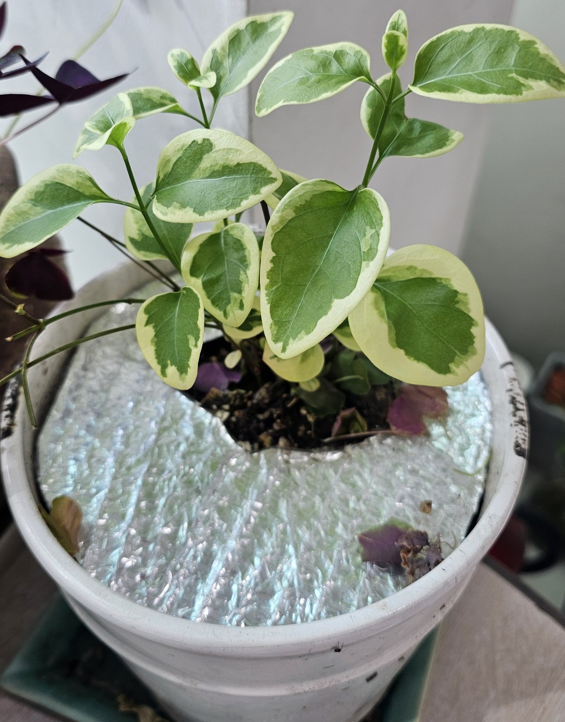 Post image 7