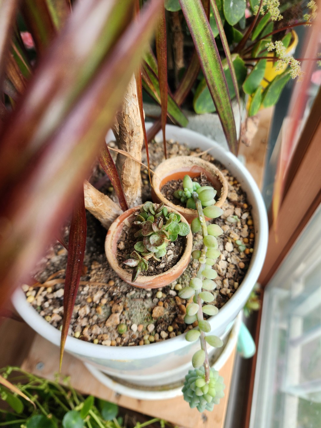 Post image 11