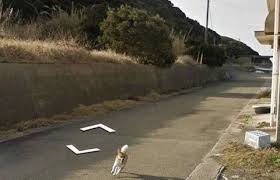 Post image 4