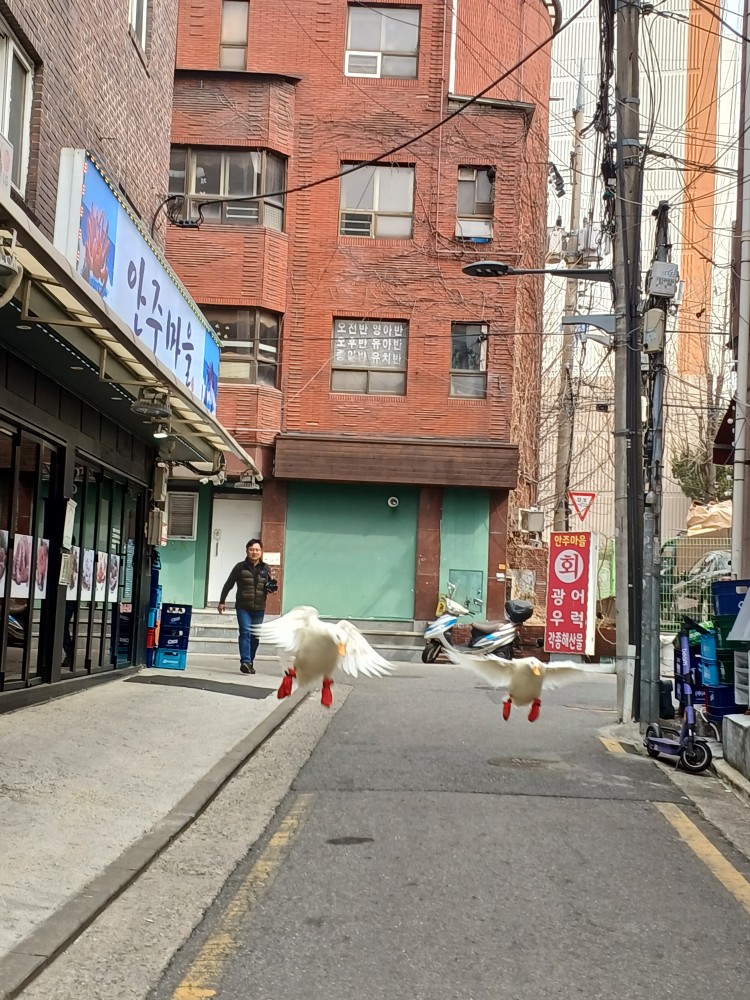 Post image 5