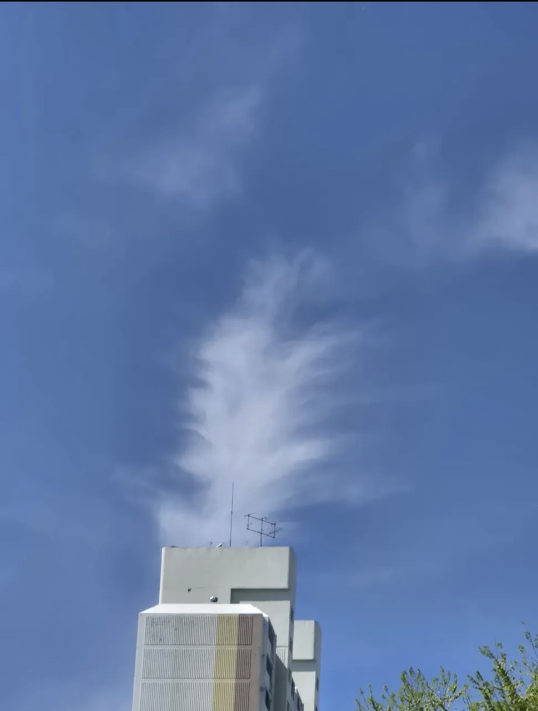 Post image 5